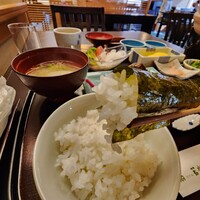 山茶花 - 