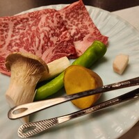 山茶花 - 