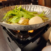 山茶花 - 