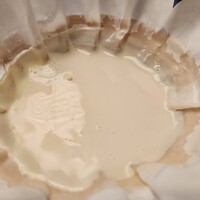 山茶花 - 