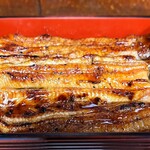 川蝉 - うな重 松