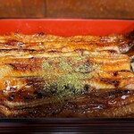 川蝉 - うな重 松