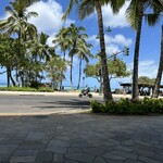 Cheeseburger In Paradise - 