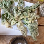 うどん山菜 塩屋 - 季節の山菜の天ぷら1510円
