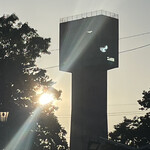 焼きもの家 慶 - さっきまであの上からこちらを眺めていた