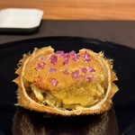 イル アオヤマ - 