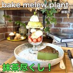 bake melew plant - 