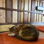 アジア屋台ごはん 五五吉食堂 - 