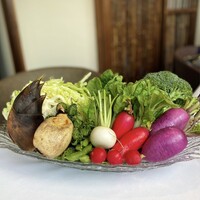 文菜華 - 