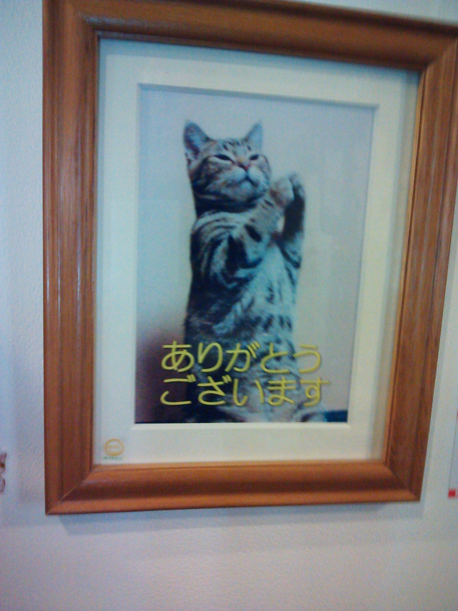 ぽわーる name=