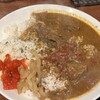 本格辛口カレー ヤドカリー 西天満店