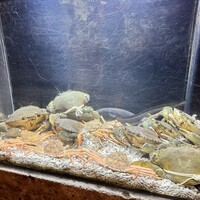 くずし 之助 - どうまん蟹