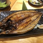 Toro Masa - 