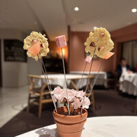 Convivio - [植木鉢]
                    チーズのオーブン焼きにアーモンド
                    冬瓜をカンパリオレンジに漬け込んだもの
                    モルタデッラ（ハム）