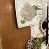 釣宿酒場マヅメ 野毛本店