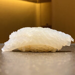 くるますし - ◯宮窪町産 アオリイカ