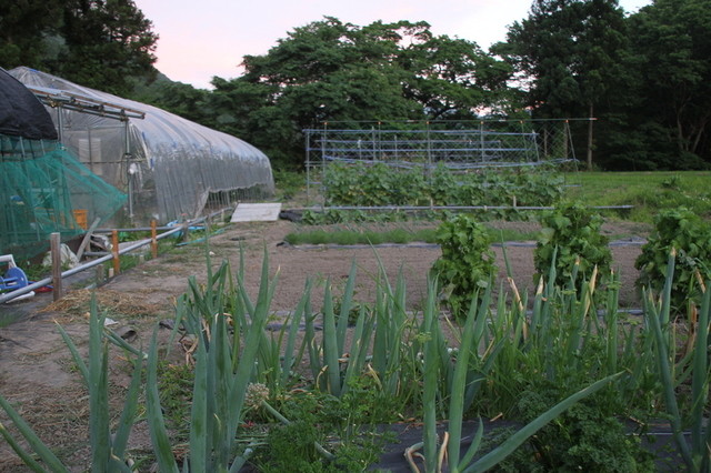 星乃井（ホシノイ） - 湯野上温泉（料理旅館）の写真