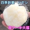 四季創菓　ハヤシ