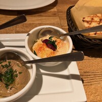 CICADA - フムス　マストオーダーです