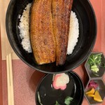 Seiryuu Unagi Tsukishima - 