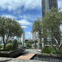 フィリップ・ミル 東京 - 席からは六本木ヒルズも見えます