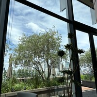 フィリップ・ミル 東京 - オリーブの木々が茂り、ラベンダーが咲いていました