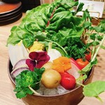 野良之木天蓼 - 