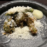 イル アオヤマ - 