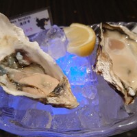 MAIMON GINZA - 