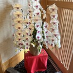 うなぎ亭 友栄 - 