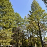 terasaki coffee kobuchisawa - 