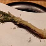 伯雲 - 秋田の独活の新芽の天ぷら