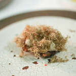 マホロバ フォレスト - Ｓｔａｒｔｅｒ ｏｆ ｔｈｅ ｆｏｒｅｓｔ 菊芋☆