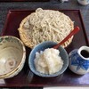 那由他 - 料理写真:極辛大根おろしそば大盛