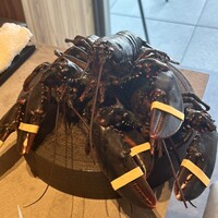 PLEIN 銀座本店 - 