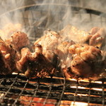 Za Torijirou - 炭火で一気に焼き上げるバラ焼きはとても技術が必要な調理方法の１つです。新鮮な阿波尾鶏を少しレア気味で仕上げれるように拘っております