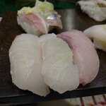 Tachiguizushi Sushitsune - かれい、鯛、ひらまさ