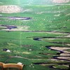 mongoruryouriuramba-toru - 素敵な大草原の壁画があった。壮大なモンゴル大平原の生活を描いたもの。