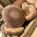 日本橋 蕎ノ字 - 玉取茸