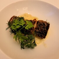 アマルフィイ・モデルナ - 