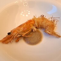 アマルフィイ・モデルナ - 