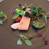 アマルフィイ・モデルナ - 