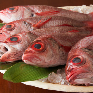 Carefully selected high-quality rosy seabass shipped directly from Itoigawa, Niigata Prefecture.