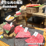 USHIHACHI - 