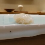 鮨 なんば - 白烏賊