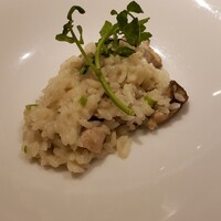 ヤマガタ サンダンデロ - 