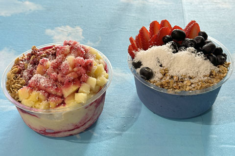 BLUE DREAM BOWL(S)、TROPICAL BOWL(S)』by ふらふら関西 : THE