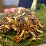 ウシマル - アミガサダケ。 シェフが成田の山から採ってきたそうな。 成田の山にはこんな食材があるんですね、、って、山に入れば誰でも採れる ってもんでもないんでしょうね。 こういう天然食材を見分ける、採る人って尊敬する。