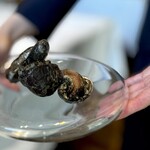 ウシマル - これがこう#1 トコブシ。 アワビではないけど、トコブシとしては大型です。