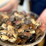 ウシマル - これがこう#3 九十九里産はまぐり。 これは小玉ですね。 料理によって大きさの選別は大事ですからね。